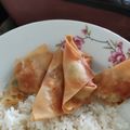 Cooksnap dari kucingkepanasan untuk resep Pangsit goreng kriuk
