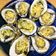 Cooksnap của Duc Vinh Tran khi họ làm theo món Hàu Đút Lò