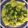 Dipika Bhalla's cooksnap of when they made ખાંડવી(Khandvi Recipe in Gujarati).