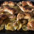 Sarolta Rónai Cooksnap-ja, amikor elkészítette a(z) Sült csirkecomb tepsis burgonyával receptet.