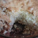 El cooksnap de Flor Sosa cuando hizo Torta de manzana 🍎 rápida, fácil y riquísima 🔥.