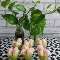 Cooksnap dari Restu Hartati untuk resep Kue Apem/Kue Mangkok