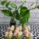 Cooksnap dari Restu Hartati untuk resep Kue Apem/Kue Mangkok