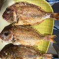 陳姵伶 的 酥煎鯛魚 cooksnap