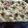 El cooksnap de yanina churruarin cuando hizo 🍕FOCACCIA🍕CON HARINA LEUDANTE 🍕😋🫒🤗.