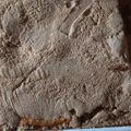 mfemfemfem's cooksnap of when they made Extra Crumb Cinnamon Strusel Sour Cream Coffee Cake.