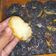 Cooksnap dari nofa untuk resep Donat SP (Lembut & Empuk Banget)