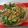 Afshan Shahnawaz's cooksnap of when they made Lauki ki Sabzi.