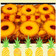 Suchi Shah's cooksnap of when they made પાઇનેપલ અપ સાઇડ ડાઉન કેક (pinapple up side down cake recipe in Gujarati).