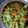 AnsuyaBa Chauhan's cooksnap of when they made વેજીટેબલ સલાડ(vegetable salad recipe in gujarati).