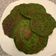 El cooksnap de Maria José P. Vivas cuando hizo Hot cakes de espinaca 🥞🌿/ low carb / cetogénica.