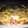 El cooksnap de yamiarias80 cuando hizo Masa de tarta salada (2 bases).