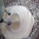 کوک اسنپ Mahsa Rezapour بعد از امتحان کردن طرز تهیه خامه خونگی🌺🌺🌺🌺.