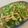 Hsieh Apple 的 芹菜炒豆干 cooksnap