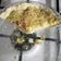 El cooksnap de María Araújo cuando hizo Tarta de puerro y cebolla de verdeo.