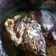 Cooksnap dari Dessy ikhda korina untuk resep Pecak ikan mas