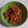 Cooksnap dari dyahnajwa untuk resep Sambal goreng tempe kacang teri nasi