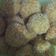 Cooksnap dari Ajeng Desi Anggreini untuk resep Bitter Ballen Kentang Keju