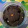 Cooksnap dari Nur Hayati untuk resep Double Chocolate Chocochip Cookies