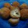 Cooksnap dari SafitriH untuk resep Chicken cheese ball (camilan debm/keto)
