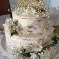 El cooksnap de Roxana Ramirez Labarthe cuando hizo Torta de novia.