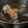 Cooksnap dari zhafranisty adventure untuk resep Sup Iga Rempah Slow Cooker