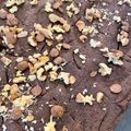 El cooksnap de Julieta Questa cuando hizo Brownies de porotos negros.