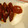 El cooksnap de JOSE CARLOS DARIES cuando hizo Cangrejos de río con tomate.