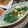 Cooksnap dari Pawon'e Mas Paijo untuk resep Sop sayur bening sawi tahu putih