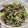 邱大姐 的 青江菜與香菇炒肉絲 cooksnap