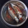 Cooksnap dari Loho 254 untuk resep Kembung tim asam jawa
