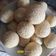 Cooksnap dari Mery Shafiyyah untuk resep Onde Onde Wijen Isi Kacang Hijau