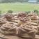 Cooksnap dari bundaKiyya untuk resep Bolu Kukus Tiramisu mini