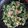 Cooksnap dari mrsjatnika untuk resep Brocolli salju