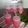 Cooksnap dari Nining Sari_3R untuk resep Agar agar santan jadul