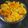 Shatabdi Saha's cooksnap of when they made মিক্স সব্জী দিয়ে দলিয়া খিচুড়ি (mix sabji diye daliar khichdi recipe in Bengali).