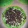 Cooksnap dari Winda`s Kitchen untuk resep Terang Bulan Teflon (Eggless, anti gagal) #bikinramadanberkesan