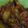 Cooksnap dari Larasati untuk resep Spicy Hot Chicken Wings With Chessy Sauce