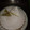 El cooksnap de Lourdes Elizabeth Centurion cuando hizo Tarta de ricota 👩🏻‍🍳.