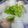 賴小孟 的 香菜蘿蔔雞湯 cooksnap