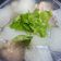賴小孟 的 香菜蘿蔔雞湯 cooksnap