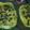 Ticsen Vorel's cooksnap of when they made Pineapple Fried Rice/ Vegetarian.