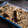 El cooksnap de CAROLINA cuando hizo Barritas de mix de cereales y pasas de uva .