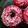 Manisha Malvi Angaitkar's cooksnap of when they made Beetroot Donuts with Strawberry Glaze.