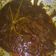 Cooksnap dari Ny.wibowo untuk resep Rendang Daging Sapi Empuk