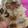 El cooksnap de Mía cuando hizo Pan dulce de Gaby! Sin manteca.