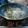 潘俊霖的(簡單料理) 的 清炒蛤蜊 cooksnap