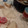 El cooksnap de Pamela S. cuando hizo Arroz Blanco (白米) - Arroz Japonés Preparación Tradicional -.