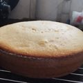 El cooksnap de Pame Carrasco cuando hizo Bizcochuelo 1234 sin horno con olla Essen.
