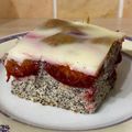Tócsikné Kovács Evelin Cooksnap-ja, amikor elkészítette a(z) Mákos szilvás süti vanília krémmel receptet.